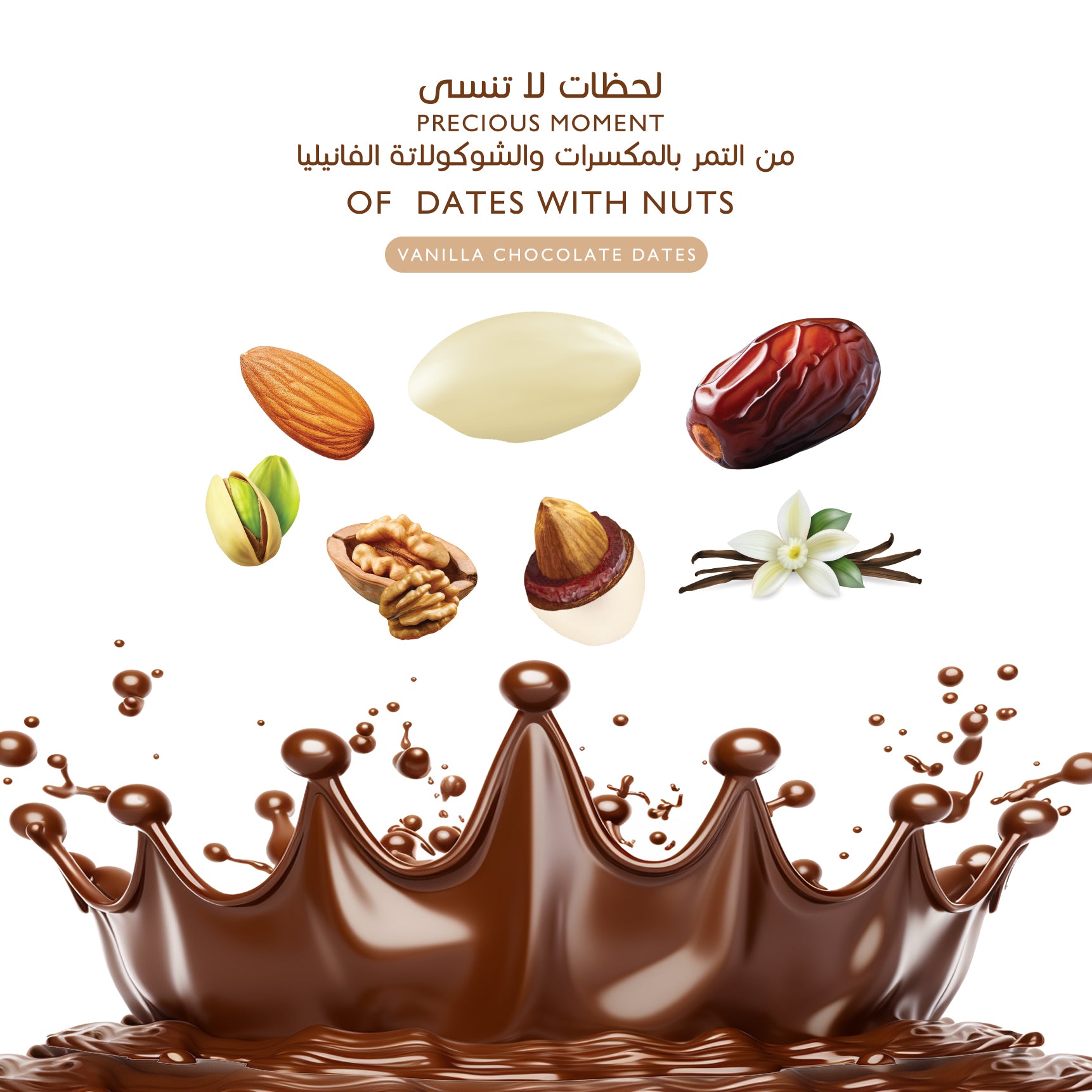 Choco Dubai 12 Packs of Full Coated Chocolate Dates Each 100 gm - SPECIAL OFFER!